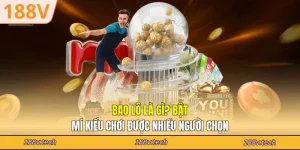 bao lô là gì
