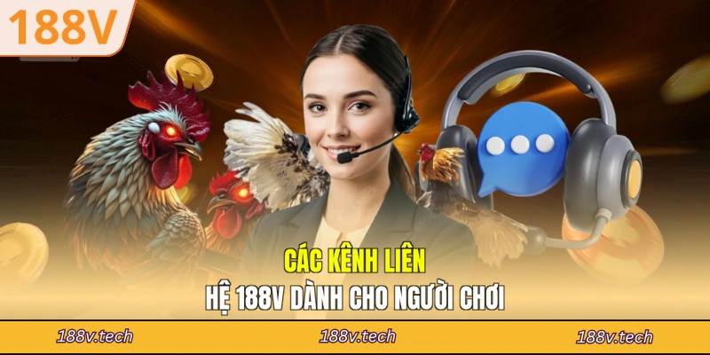 Các kênh liên hệ 188V dành cho người chơi