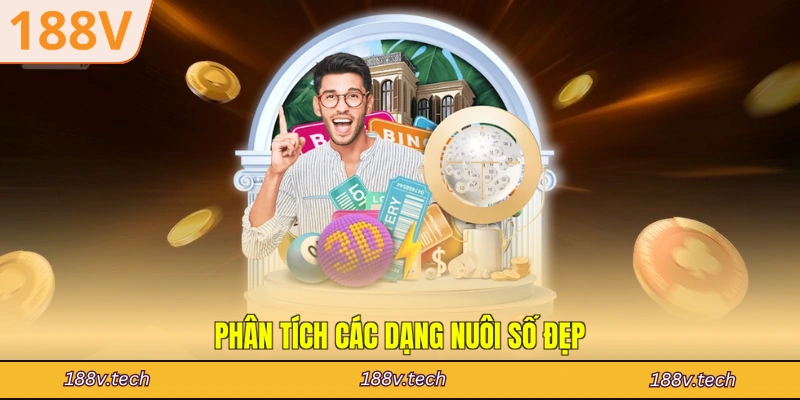 Phân tích các dạng nuôi số đẹp